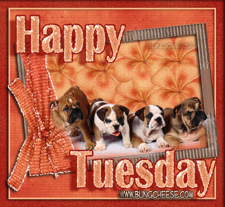tuesday photo: Tuesday 0_tuesday_brown_puppies.gif
