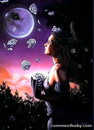 Moon Roses Pictures, Images and Photos
