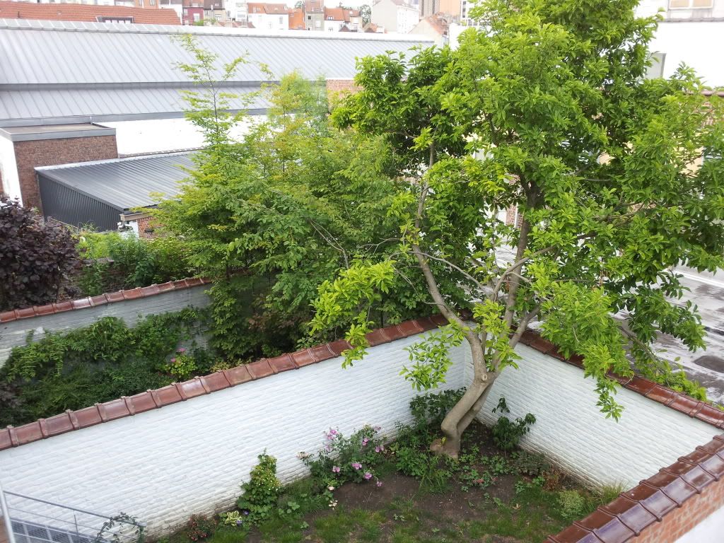 2011-06-08180018.jpg