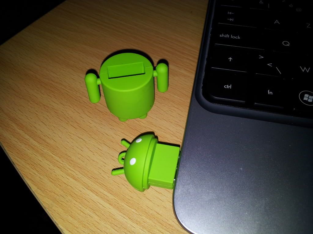 2011-06-09141224.jpg