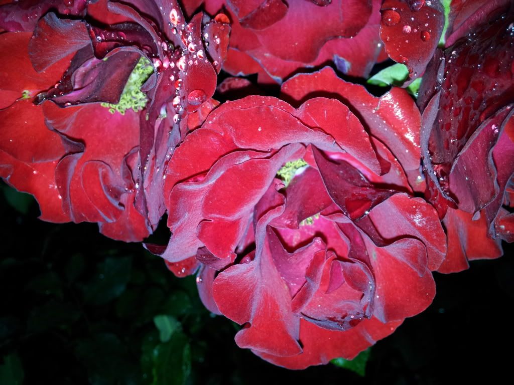 2011-06-21054151.jpg