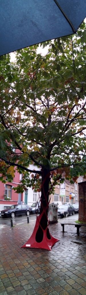 20121013_160041.jpg