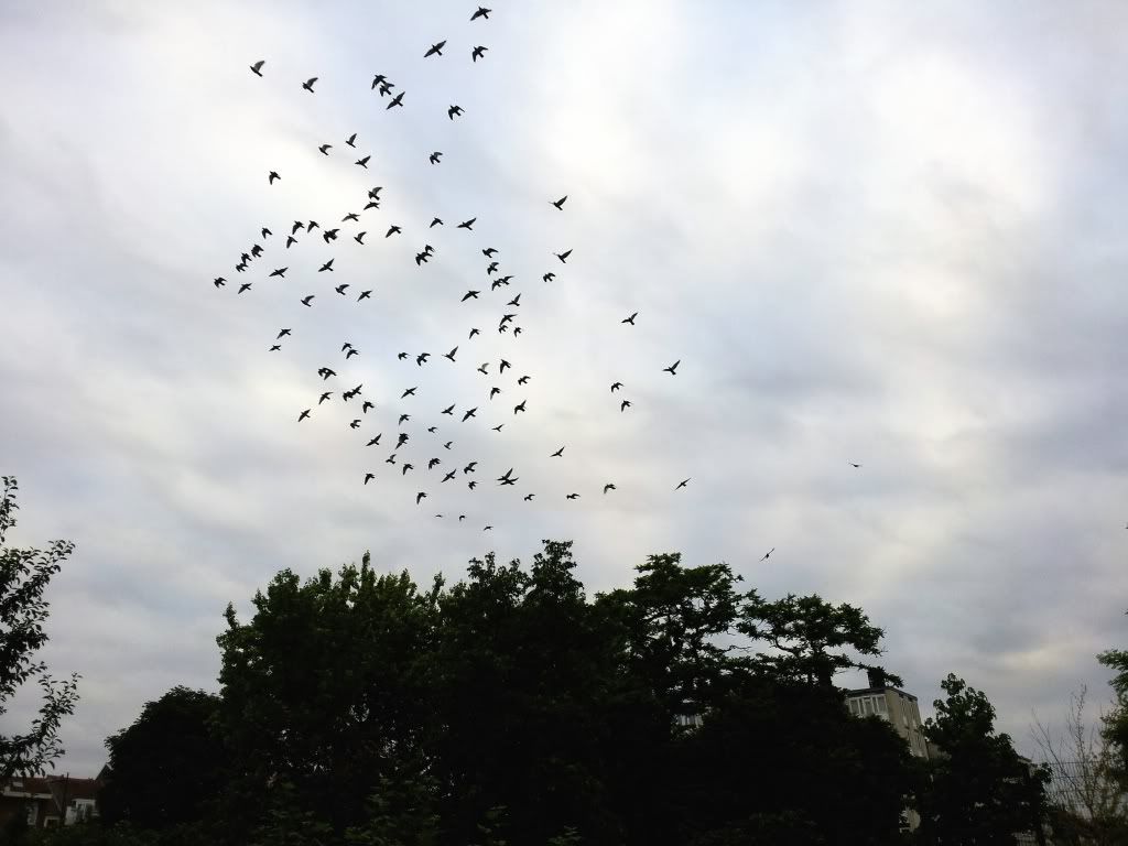 20130630_063821_1_zps0d0ef585.jpg