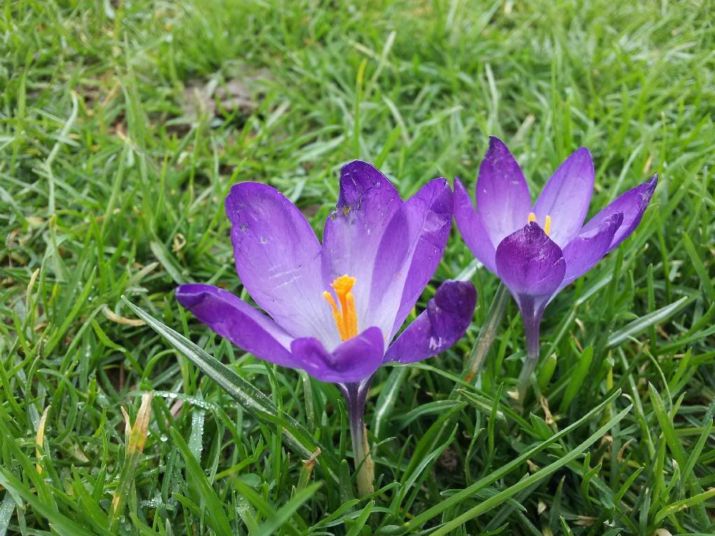 20140305_130554_zpsnnbfcavb.jpg