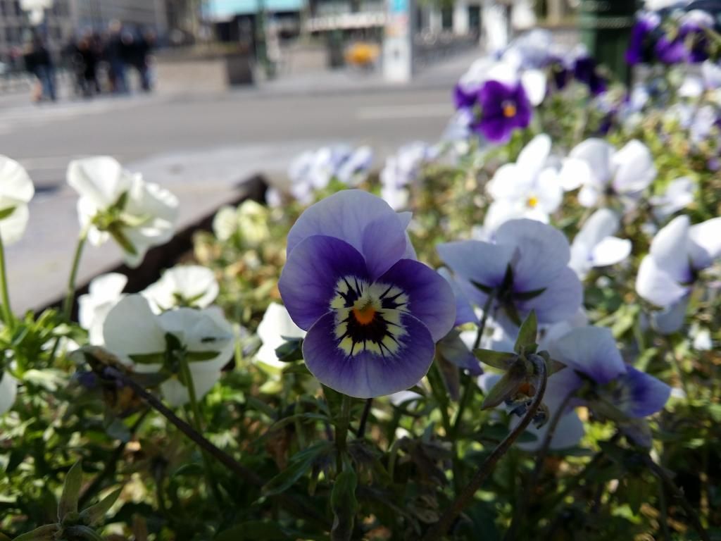 20140503_145339_zpse5snihnp.jpg