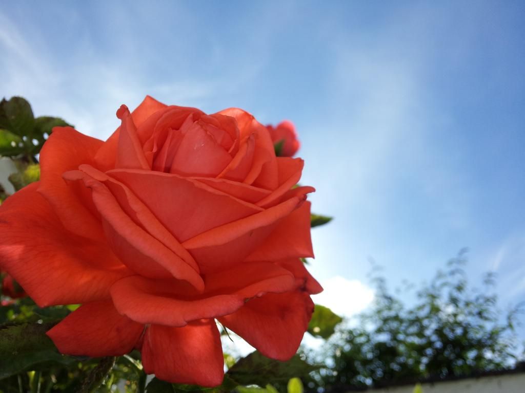 20140613_094327_zpssn7hdwo8.jpg