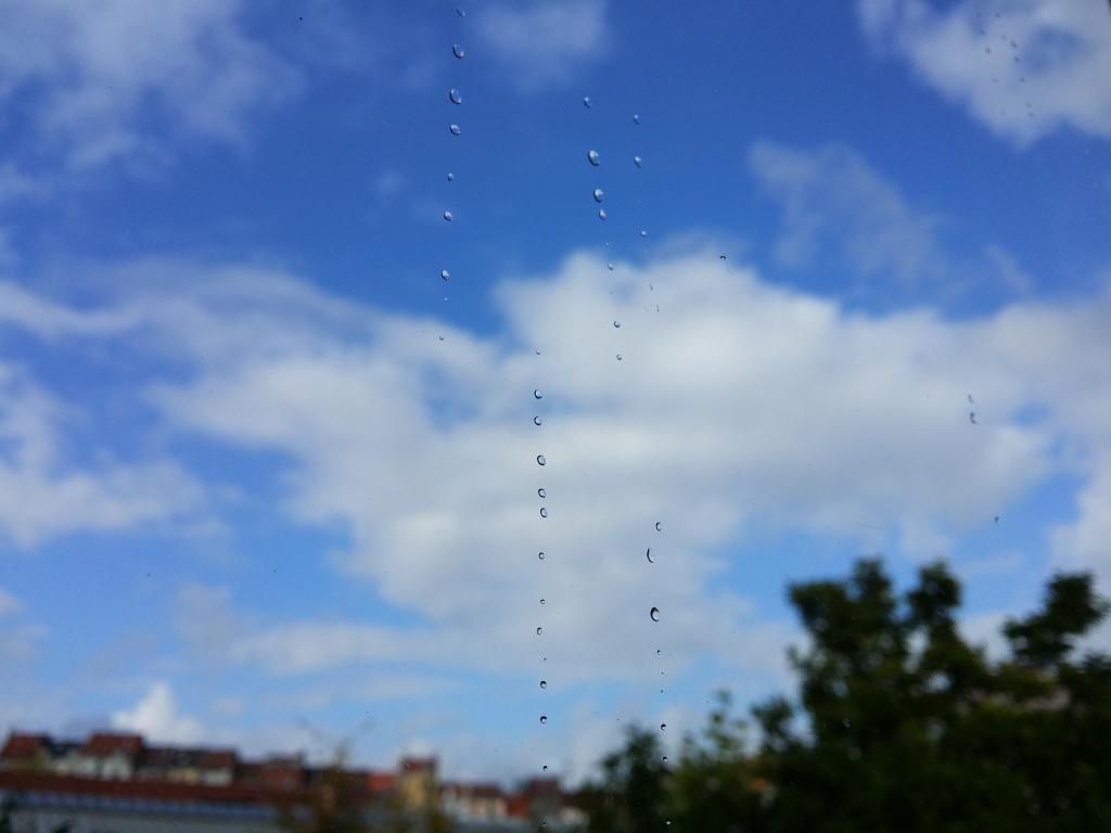 20141020_140825_zpsiyusubft.jpg