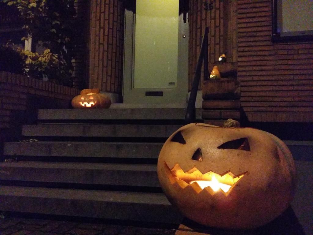 20141101_212418_zpsqymx2fwg.jpg