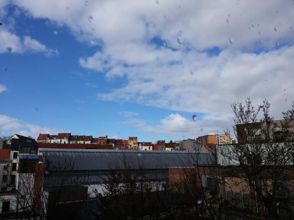 20150301_125411_zpswk8v2jpg.jpg