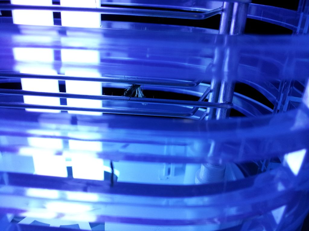 20150516_103759_zps4dxlfsny.jpg