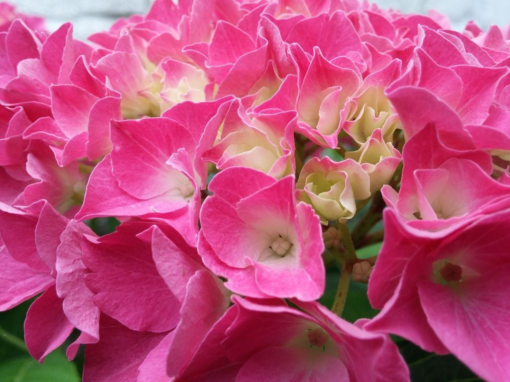 20150628_194942_zps9v9qf69q.jpg