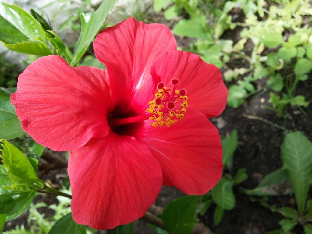 20150714_153906_zpserfnpnrk.jpg