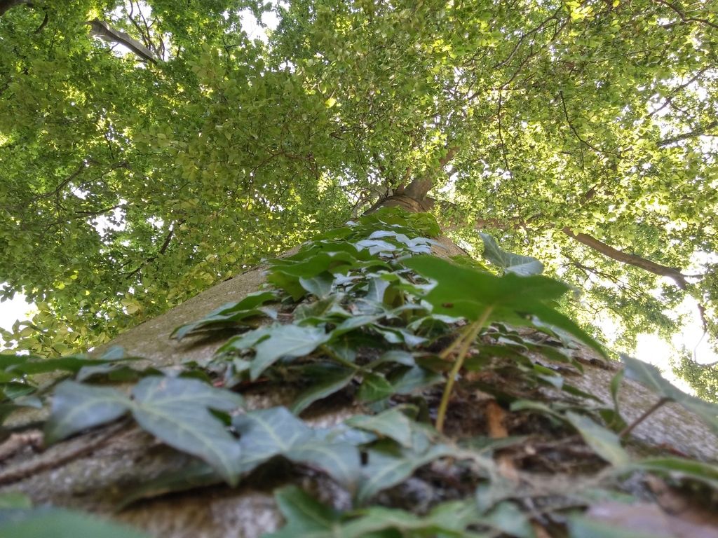 20150716_155735_HDR_zpsnxwwgorx.jpg