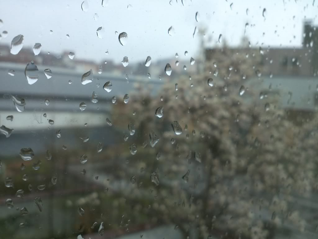 IMG222.jpg