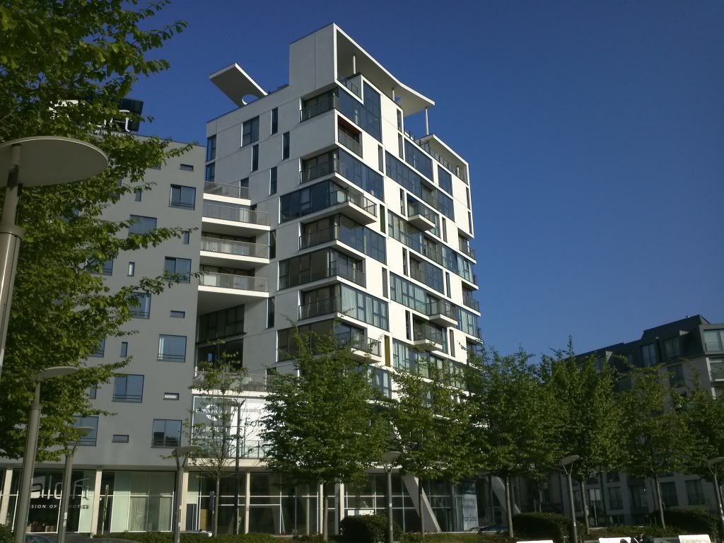 IMG356.jpg