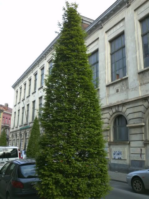 IMG410.jpg