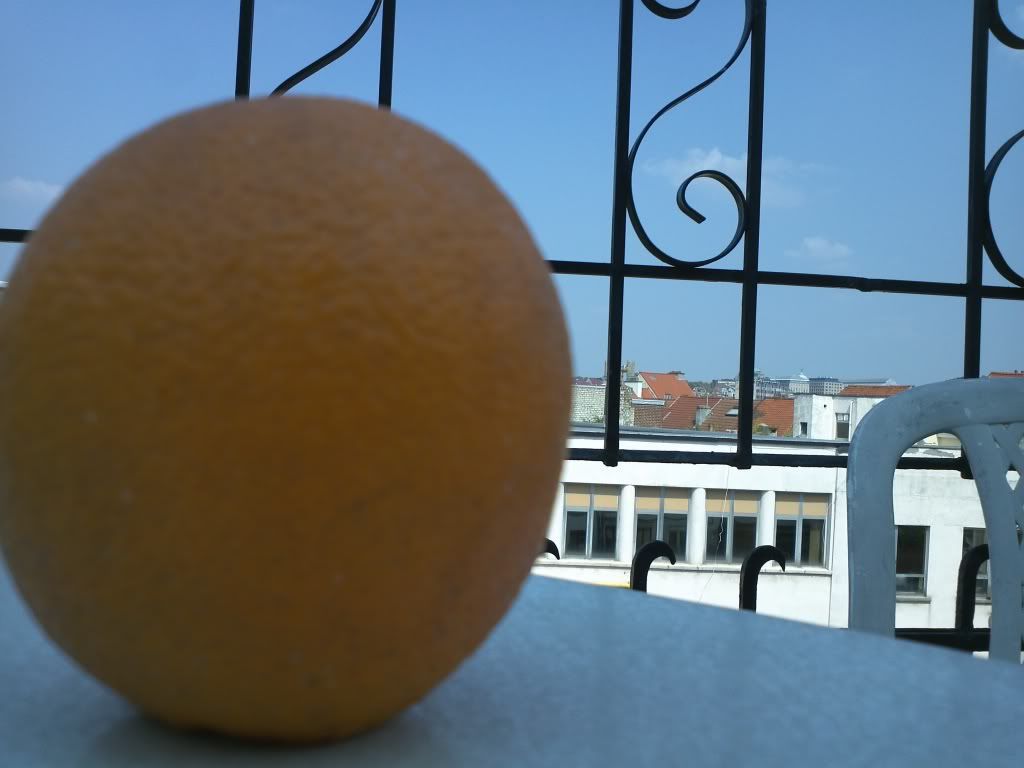 IMG450.jpg