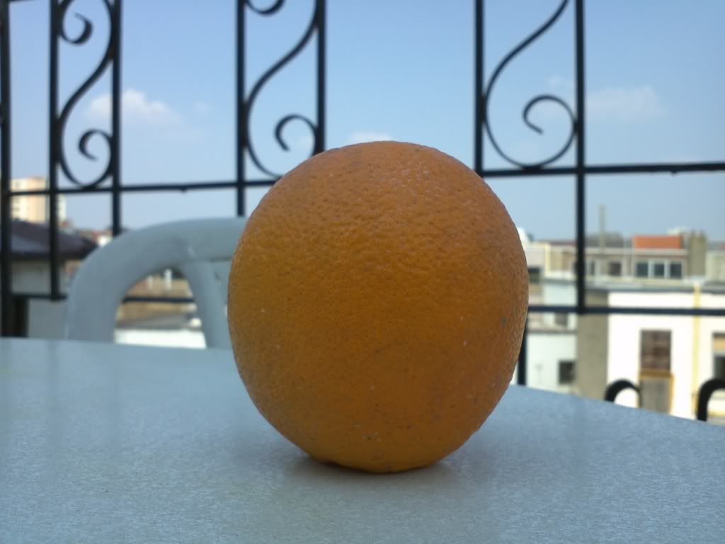 IMG451.jpg