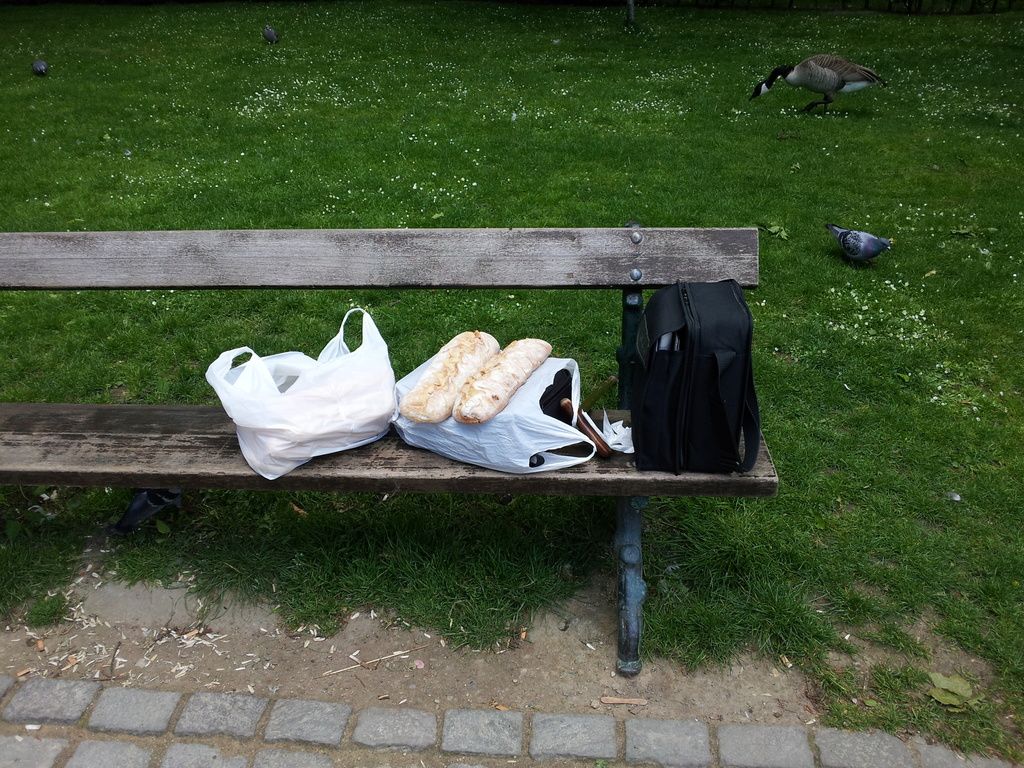 20150519_122921_zps0acngcqk.jpg
