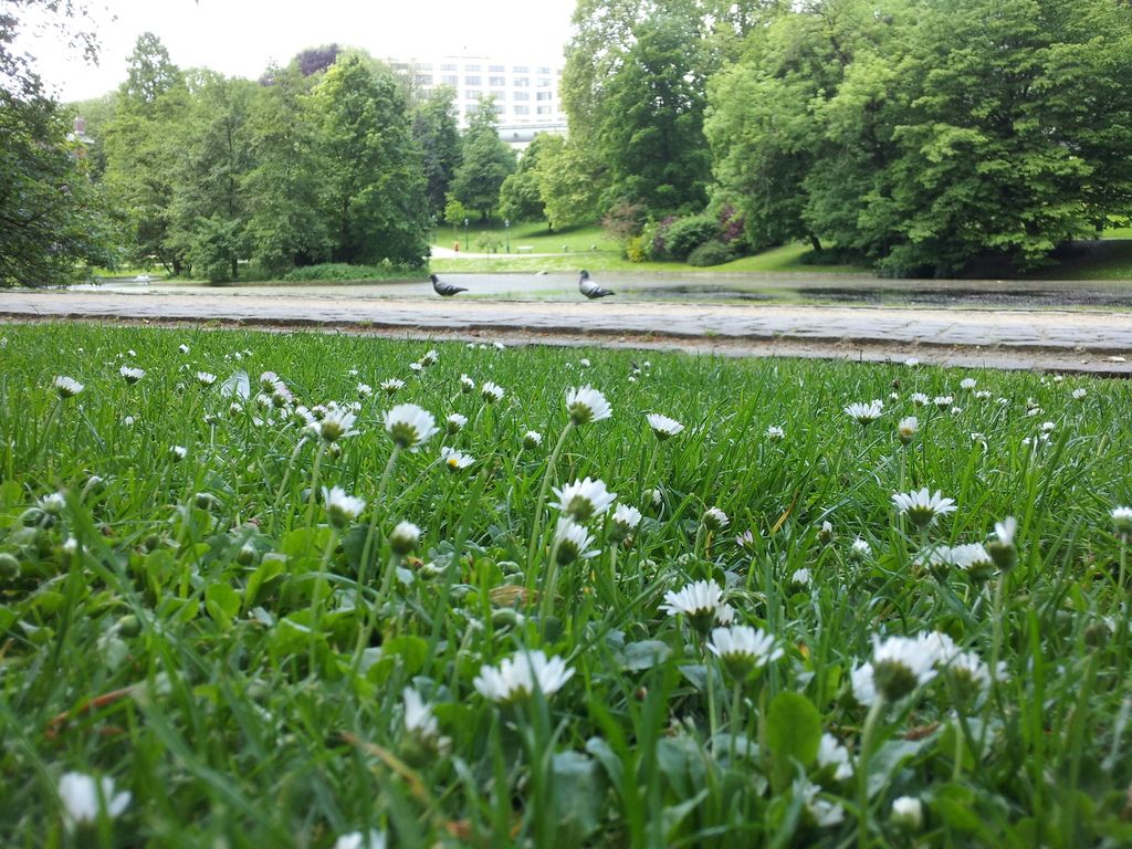 20150519_123006_zpskiscmcz6.jpg