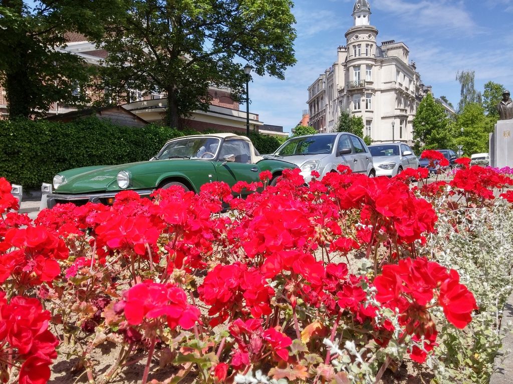 20150616_144213_HDR_zpsgyshn0xr.jpg
