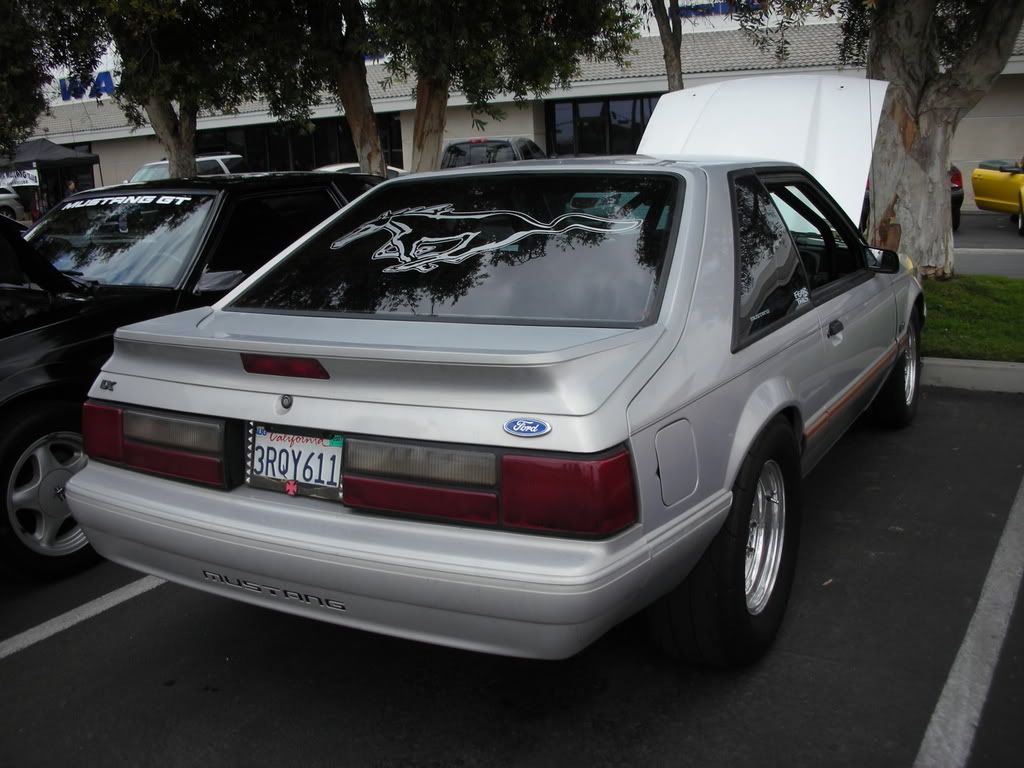 DSCN8097.jpg