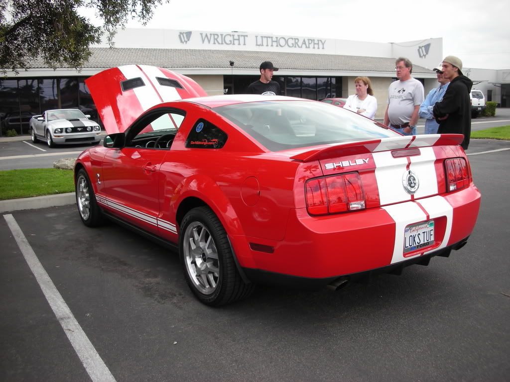 DSCN8098.jpg