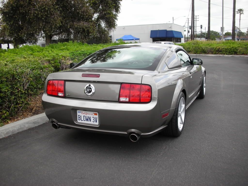 DSCN8103.jpg