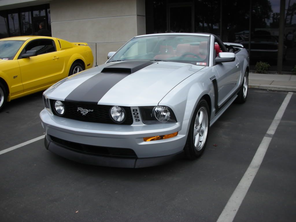 DSCN8104.jpg