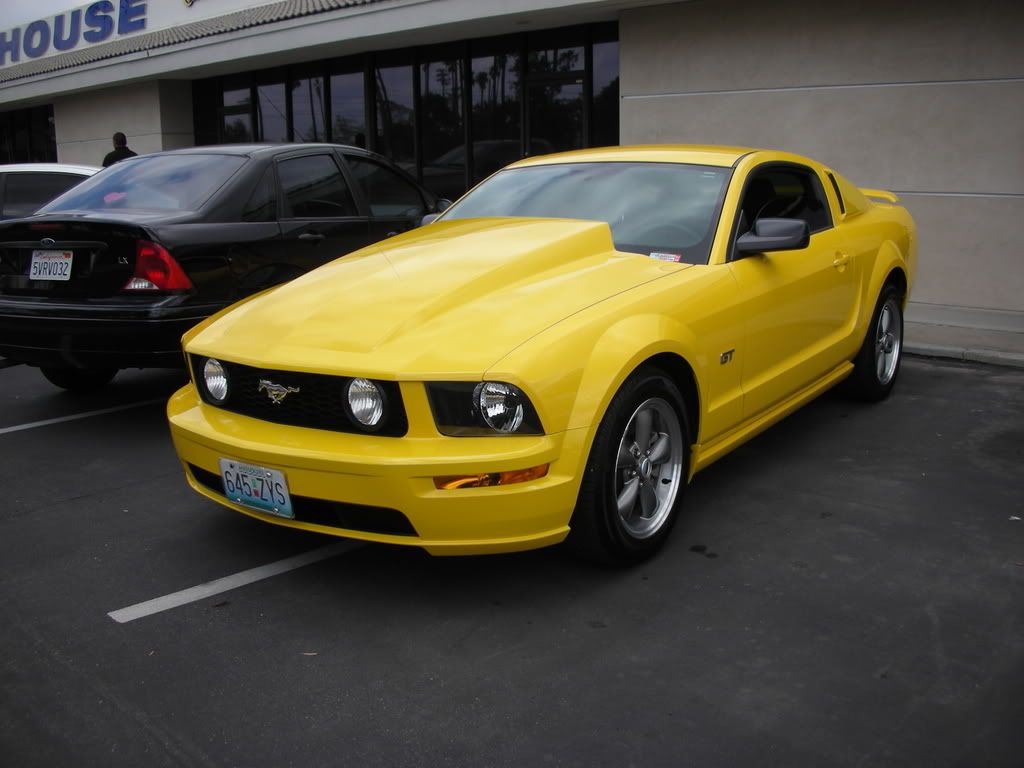 DSCN8105.jpg