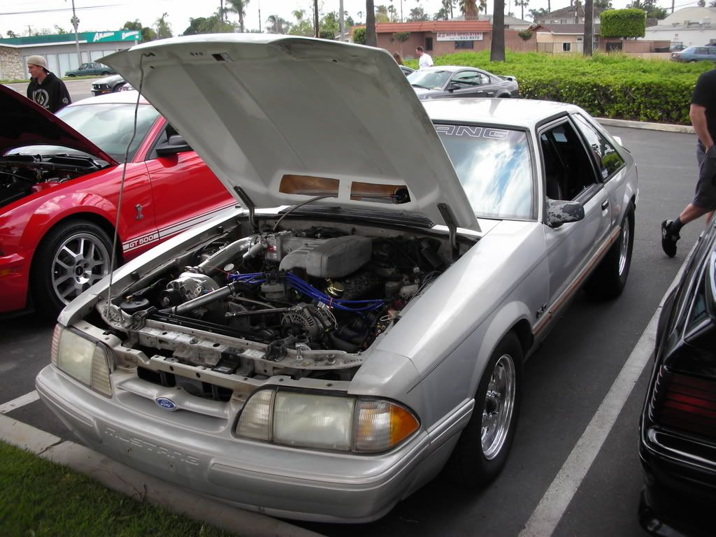 DSCN8106.jpg