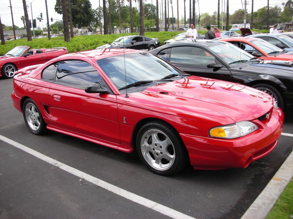 DSCN8108.jpg