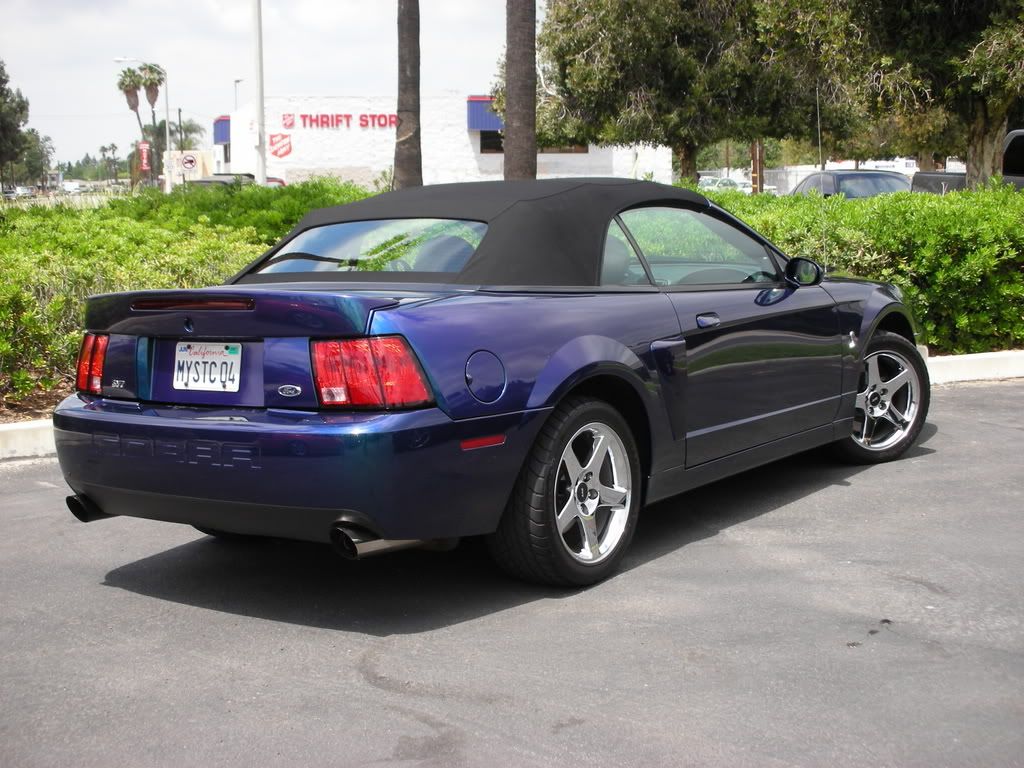 DSCN8110.jpg
