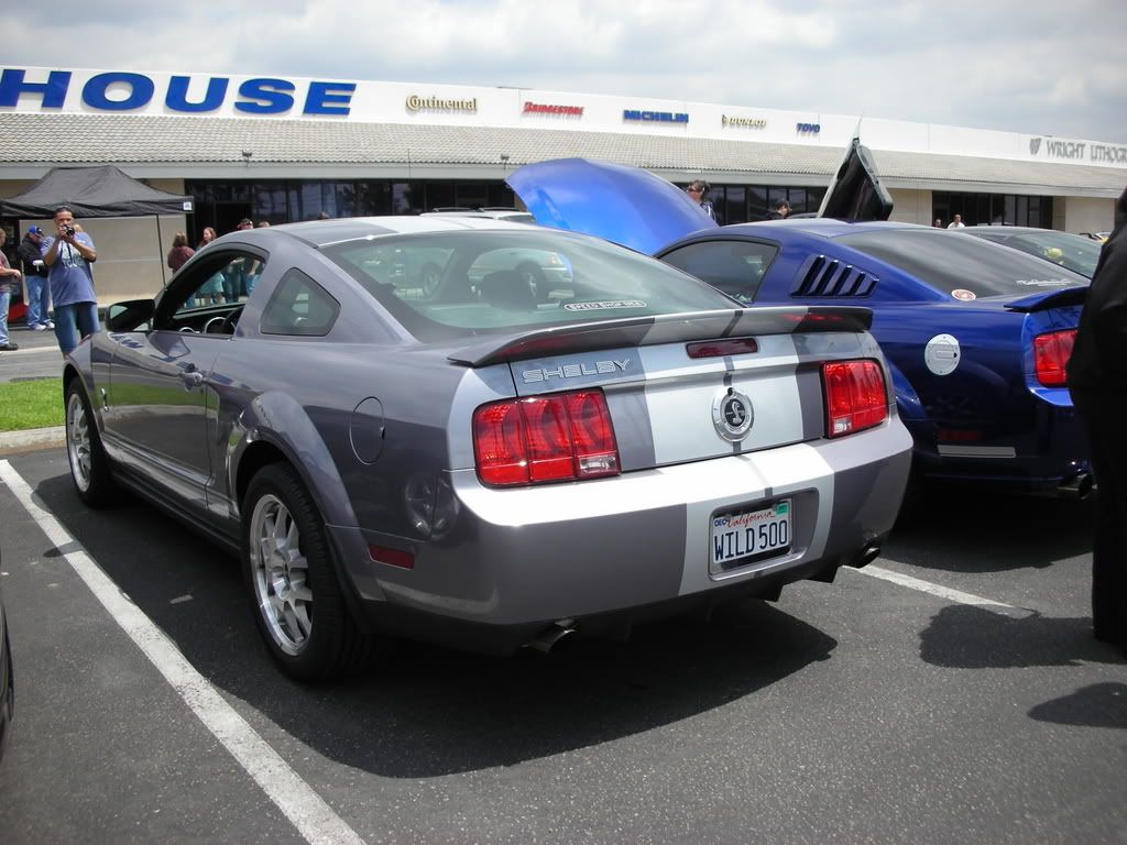 DSCN8113.jpg