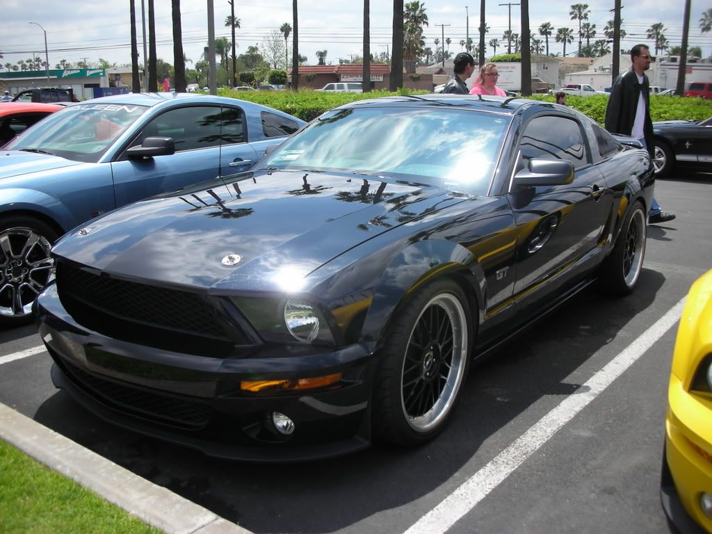 DSCN8118.jpg