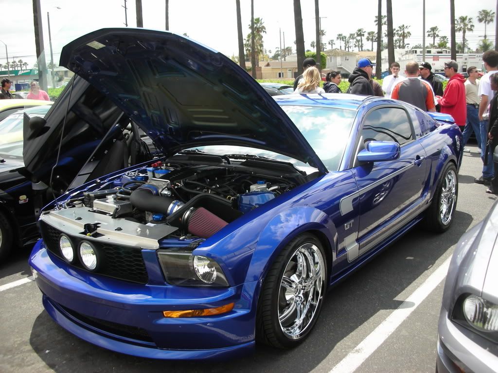 DSCN8119.jpg
