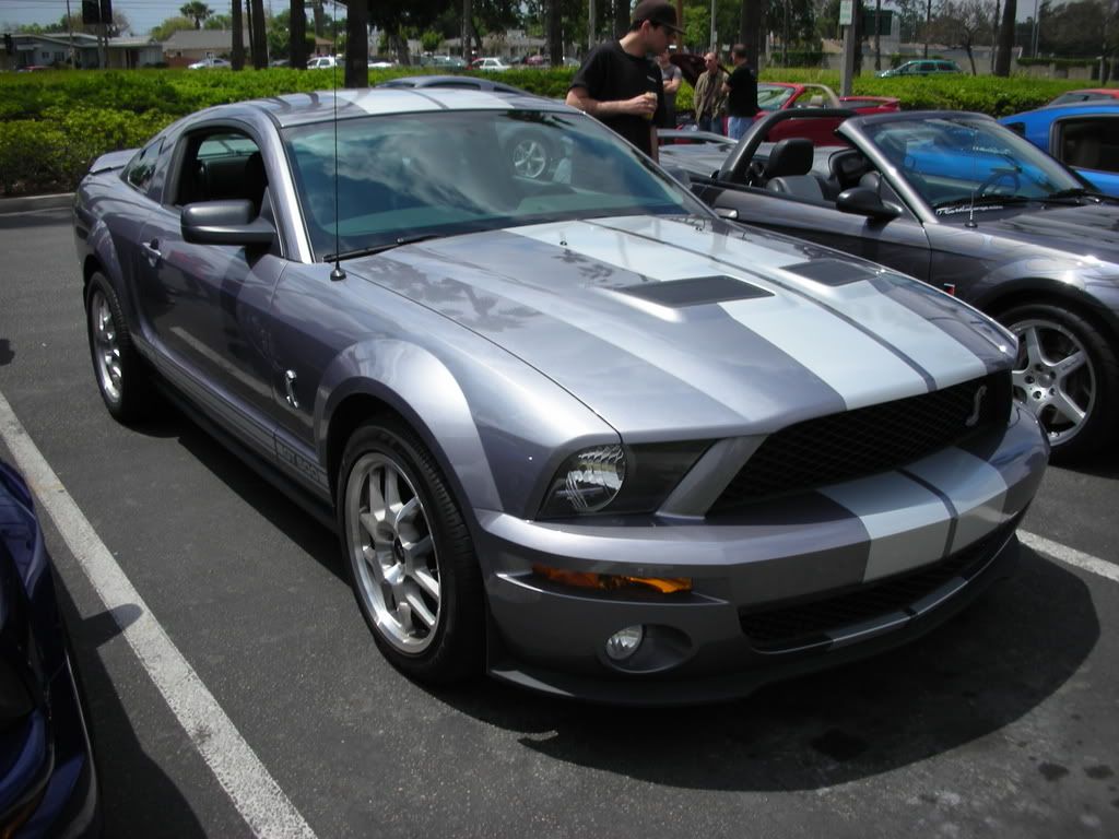 DSCN8120.jpg
