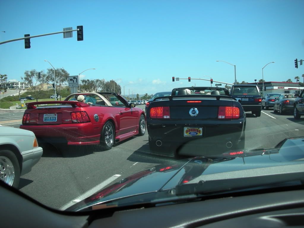 DSCN8137.jpg