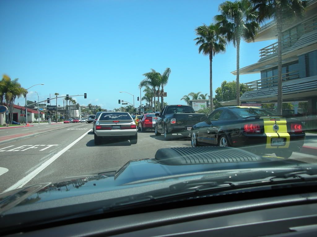 DSCN8138.jpg