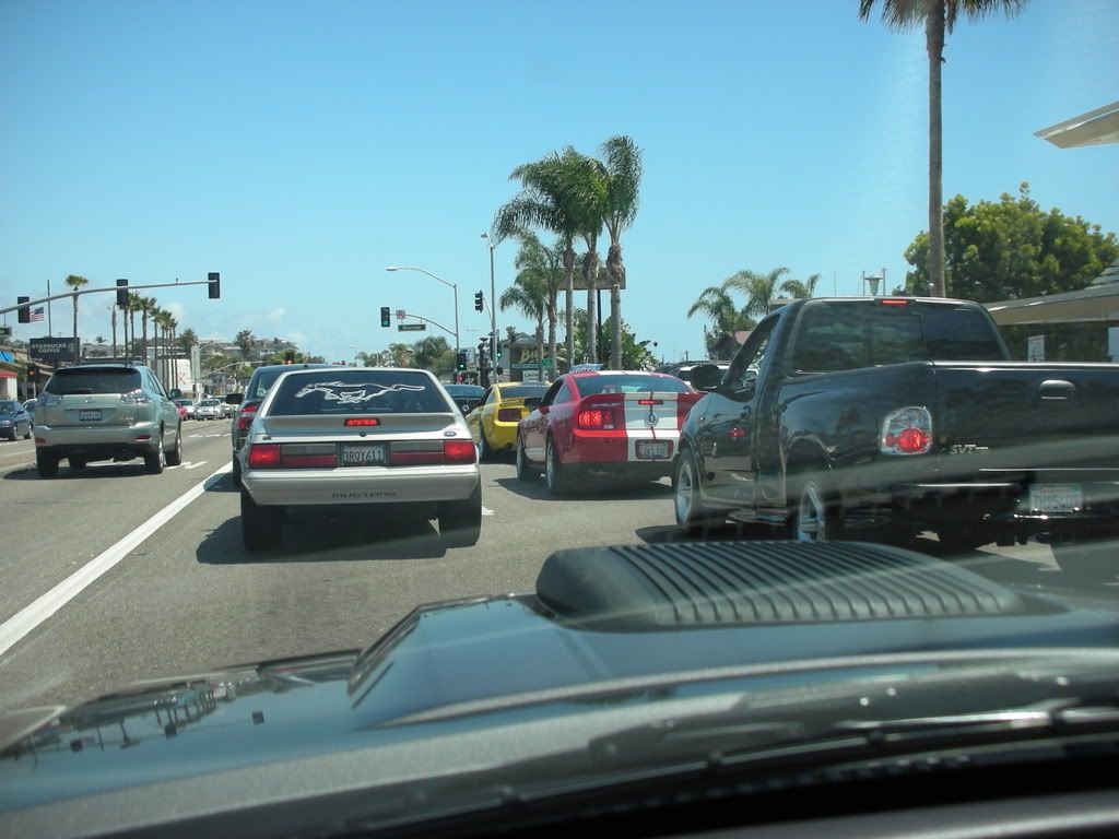 DSCN8139.jpg