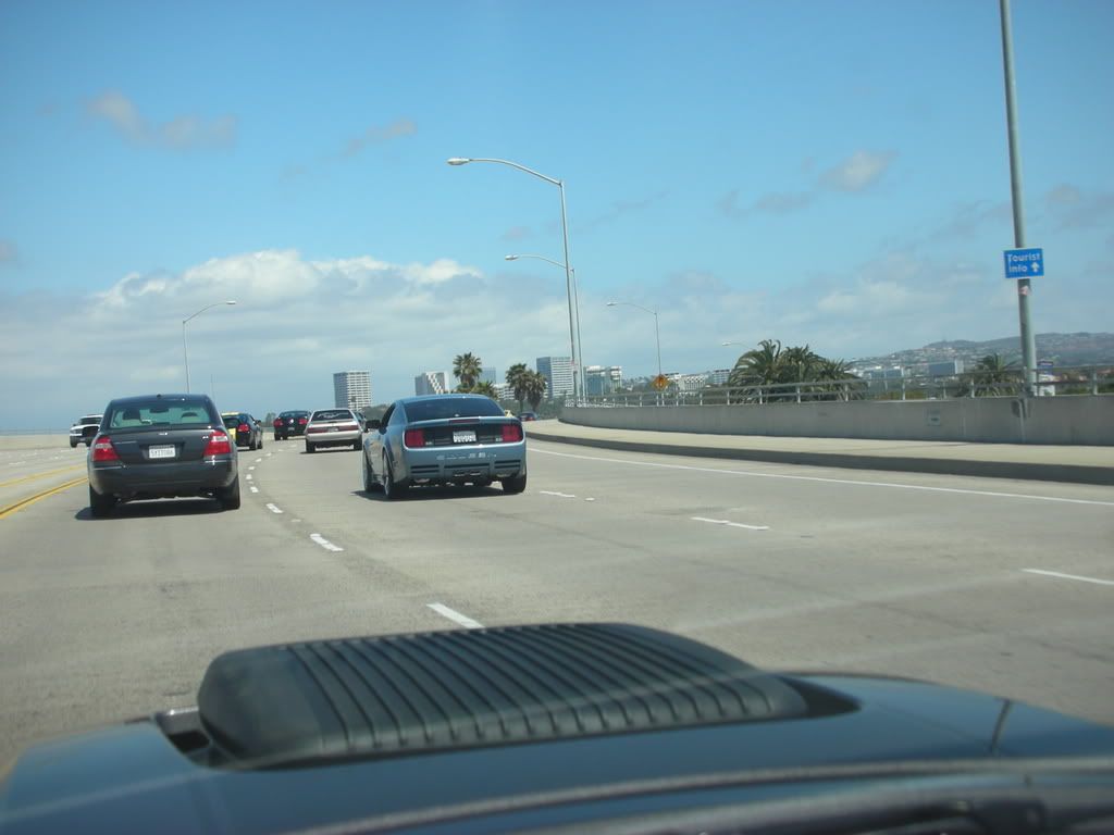 DSCN8142.jpg