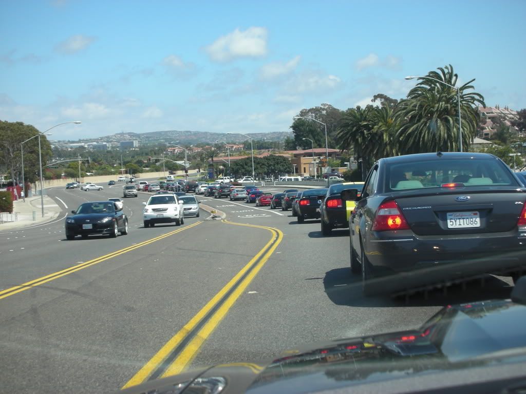 DSCN8143.jpg
