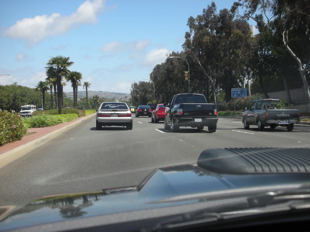 DSCN8146.jpg