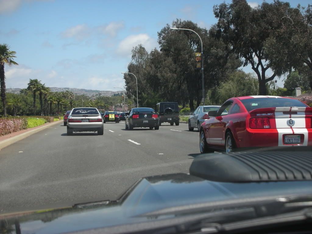 DSCN8147.jpg