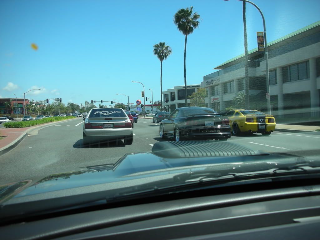 DSCN8148.jpg