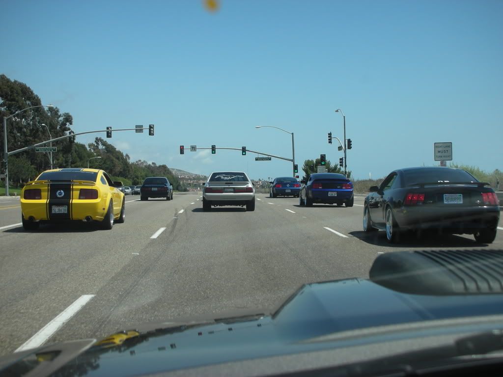 DSCN8153.jpg