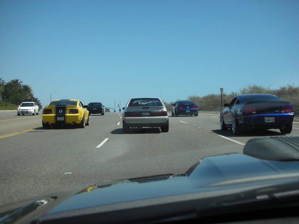 DSCN8159.jpg