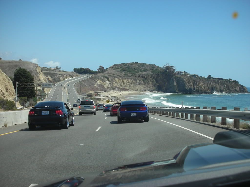 DSCN8161.jpg