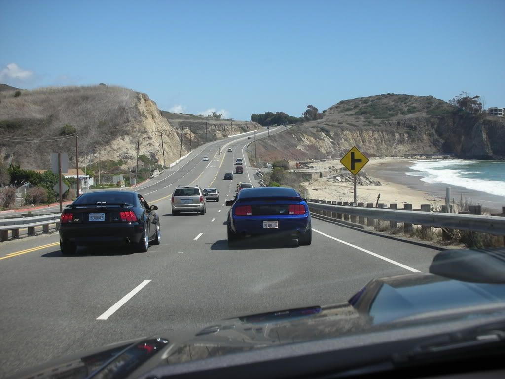 DSCN8162.jpg