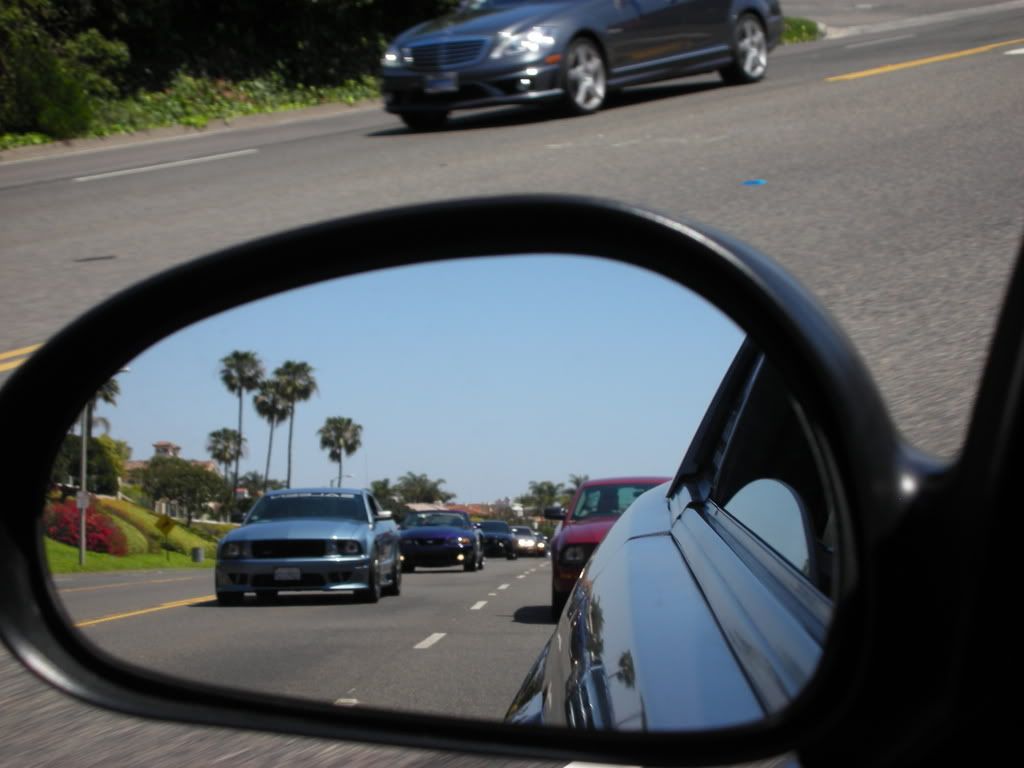DSCN8171.jpg